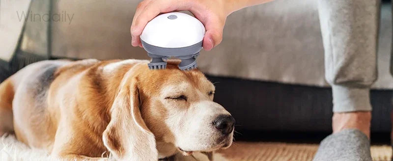 Electric Scalp Massager for Relaxation – Lunava